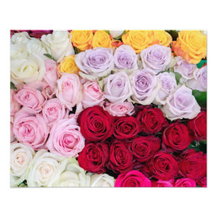 Impression Photo Roses Mélangées Colorées