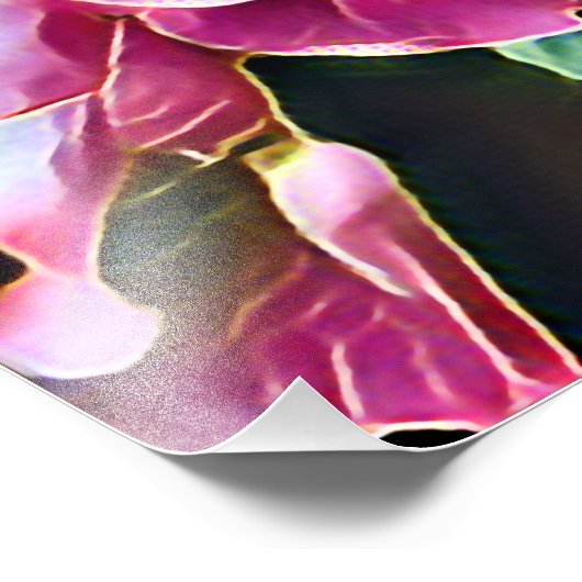 IMPRESSION PHOTO ROSES ROSES ROSES (Coin)