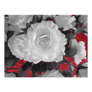 Impression Photo roses rouges blancs noirs classiques