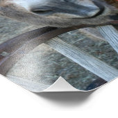 Impression Photo Roue Burro Over Wagon 8x10 (Coin)