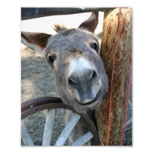 Impression Photo Roue Burro Over Wagon 8x10