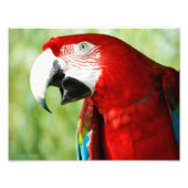 Impression Photo Rouge brillant (Devant)