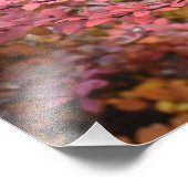 Impression Photo Rouge Orange Chute Feuillage Automne Feuilles Natu (Coin)