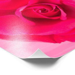 Impression Photo Rouge romantique Rose rose v2