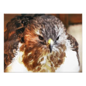 IMPRESSION PHOTO ROUGE TAILLÉ HAWK (Devant)