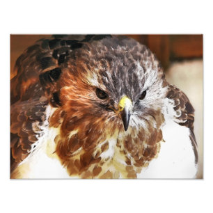 IMPRESSION PHOTO ROUGE TAILLÉ HAWK
