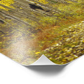 Impression Photo Route aux couleurs automnales et peupliers à Keble (Coin)