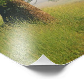 Impression Photo Route couverte de brouillard, Cades Cove, Great Sm (Coin)