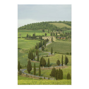 Impression Photo Route de Pienza à Montepulciano,