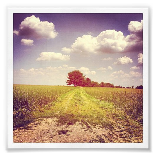 Impression Photo Route estivale (Devant)