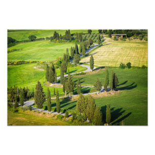 Impression Photo Route sinueuse bordée de Cypress en Toscane imprim