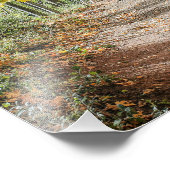 Impression Photo Route vers l'automne (Coin)