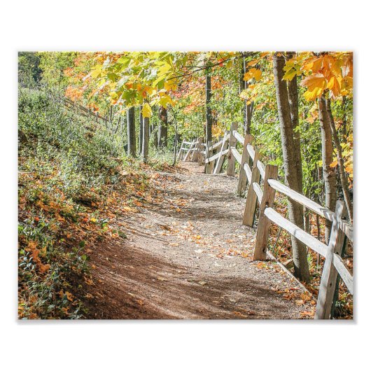 Impression Photo Route vers l'automne (Devant)