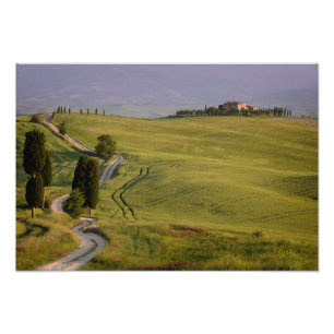 Impression Photo Route vers Terrapille en Toscane