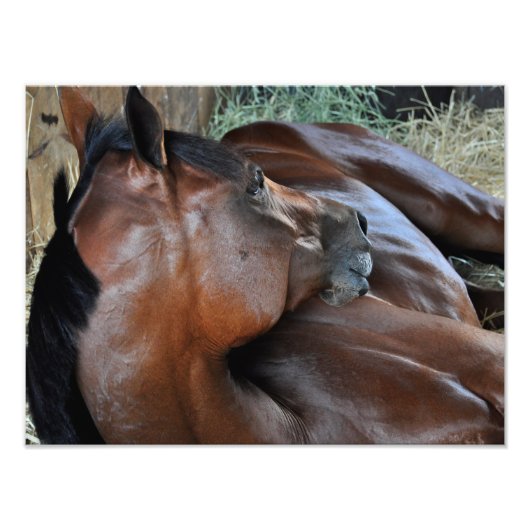 Impression Photo Royal positif (Devant)
