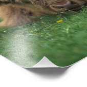 Impression Photo Royaume-Uni, Écosse. Calvaire des Highlands (Coin)