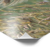 Impression Photo Royaume-Uni, Ecosse, Shetland Islands, Shetland po (Coin)