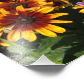 Impression Photo Rudbeckia 12"x12" (Coin)