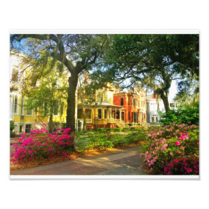 Impression Photo Rue de Whitaker en mars