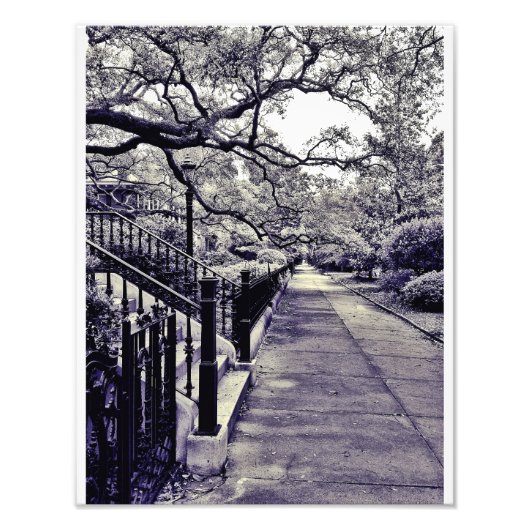 Impression Photo Rue Gaston (Devant)