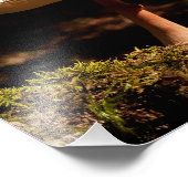 Impression Photo Ruffles (Coin)