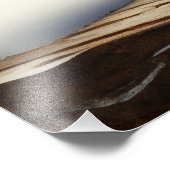 Impression Photo Rufus - Un adorable panda rouge (Coin)