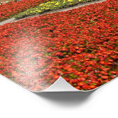 Impression Photo Russie, Moscou, Carré rouge, Alexandrovsky (Coin)