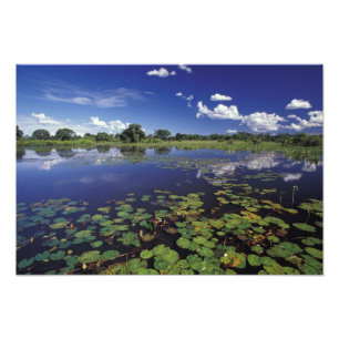 Impression Photo S.A., Brésil, Voies navigables dans le Pantanal