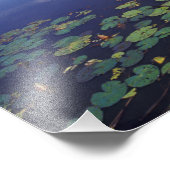 Impression Photo S.A., Brésil, Voies navigables du Pantanal (Coin)