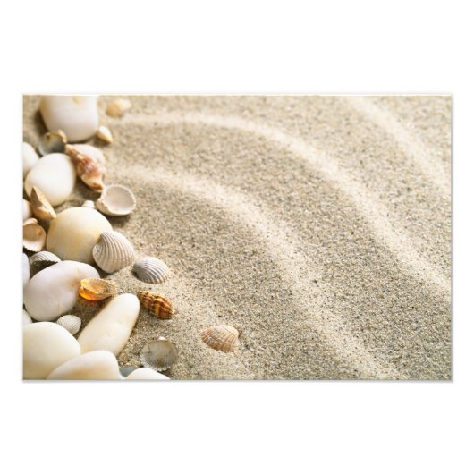 Impression Photo Sable Avec Coquilles Et Pierres. Composition de pl (Devant)