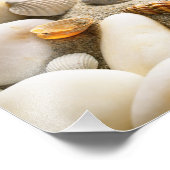 Impression Photo Sable Avec Coquilles Et Pierres. Composition de pl (Coin)