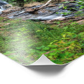Impression Photo Sable Falls, Michigan (Coin)