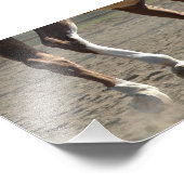 Impression Photo Sabots en mouvement (Coin)