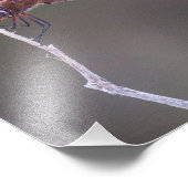 Impression Photo Sacs à selles rouges mâles (Coin)