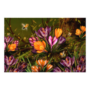 Impression Photo Saffron Crocus