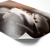 Impression Photo Sage Vert Succulent Avec Conseils Brown (Coin)