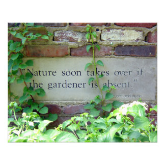 Impression Photo Sagesse du désherbage du jardin à Inniswood Park