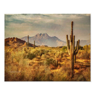 Impression Photo Saguaro Cactus Arizona Vue sur le désert
