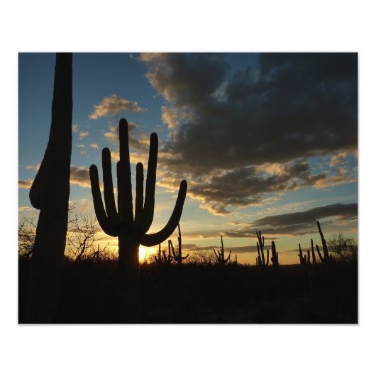 Impression Photo Saguaro Sunset II Arizona (Devant)