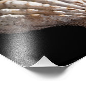 Impression Photo Saint Jacques 3236 (Coin)