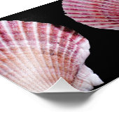 Impression Photo Saint-Jacques roses et orange (Coin)