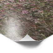 Impression Photo Saison de chasse, pointeur allemand à courte durée (Coin)