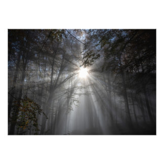 Impression Photo Saison du silence