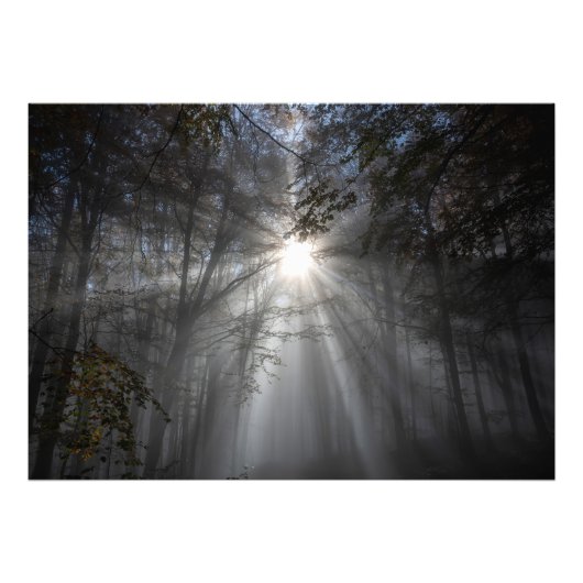 Impression Photo Saison du silence (Devant)