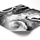 Impression Photo Saison Oyster (Coin)