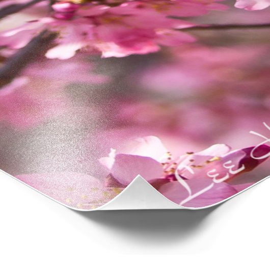 Impression Photo Sakura Pink Cherry Blossom Sky (Coin)
