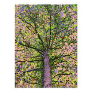 Impression Photo Salade César 15