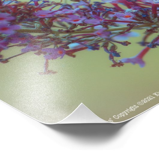 Impression Photo Salutations (Coin)