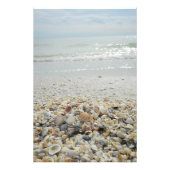 Impression Photo Sanibel Shells (Devant)