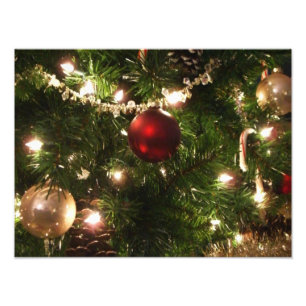 Impression Photo Sapin de Noël I Fêtes Jolies Vert et Rouge